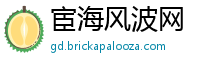 宦海风波网